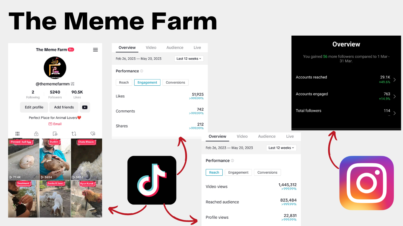 The Meme Farm